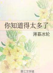 novel